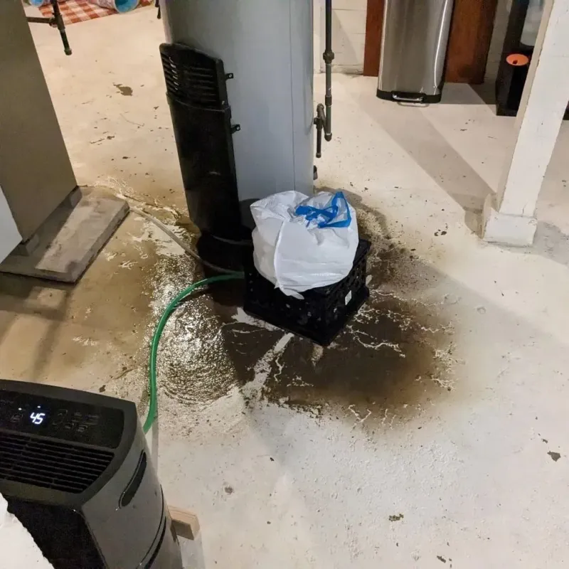 Sewage Backup Cleanup Service in Kualapuu, HI